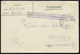 ÖSTERREICH 1917 (1.10.) 1K: K.u.k. FELDPOSTAMT/a/485 + Viol. Ra.: Bakteriologisches Feldlaboratorium Nr.40 , Feldpost-Bf - Enfermedades