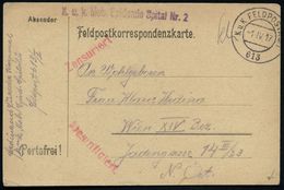 ÖSTERREICH 1917 (1.4.) 2K-Steg: K. U. K. FELDPOSTAMT/613 (rechts Nicht Ganz Voll) + Viol. 1L: K. U. K. Mob.(iles) E P I  - Maladies