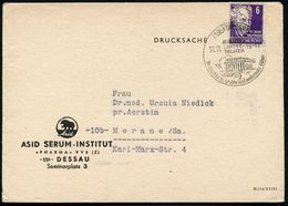 (19b) DESSAU/ ANHALT./ LANDES-/ THEATER/ Deutschlands Größte U.modernste Bühne 1949 (30.11.) Seltener HWSt. (Landestheat - Pharmacy