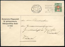 SCHWEIZ 1933 (14.6.) 10 C. Portofreiheitsmarke, EF"Alpenrose" Auf Dienst-Bf.: Zürcher Pflegeanstalt Für Geistesschwache, - Medicine