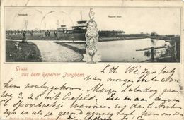 REPELEN, Herrenpark, Repelner Meer, Jungborn (1901) AK - Mörs