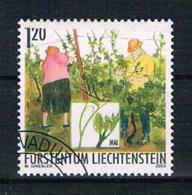 Liechtenstein 2003 Mi.Nr. 1316 Gestempelt - Gebruikt