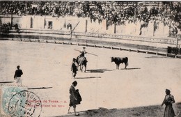 CORRIDA  De Toros - Picador - Corridas