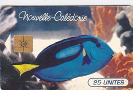 New Caledonia, NC-036B, Paracanthurus Hepatus, Fish,  2 Scans.    Without Control Number.   GEM1B (Not Symmetric Red) - Nouvelle-Calédonie