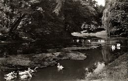 MOERS Am Rhein, Partie Am Nordring (1960s) AK - Mörs