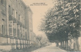 CPA - France - (79) Deux-Sèvres - Celles-sur-Belle - Allée D'honneur De L'Abbaye - Celles-sur-Belle