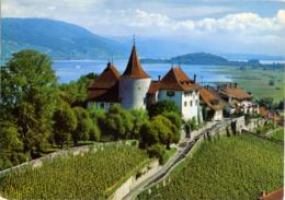 SVIZZERA  SUISSE  BE  ERLACH  Schloss  Chateau De Cerlier - Cerlier