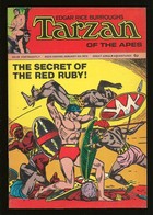 Tarzan Of The Apes - 2ème Série # 49 - Published Williams Publishing - In English - January 1973 - TBE / Neuf - Altri Editori