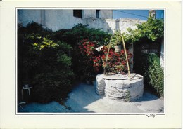 Charente Maritime - Vieux Puits En Fleurs La Flotte En Ré - Poitou-Charentes