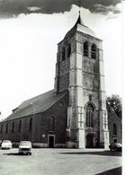 BRAKEL-SINT PIETERSKERK - Brakel