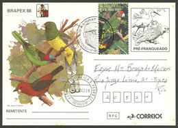 BRAZIL: RHM.BP-167, Postal Card Used On 17/DE/1988, Very Nice! - Entiers Postaux