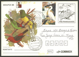 BRAZIL: RHM.BP-167, Postal Card Used On 17/DE/1988, Very Nice Although It Bears Some Light Staining - Ganzsachen