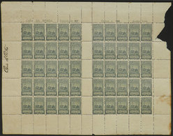 BRAZIL: PIRAHY: Complete Sheet Of 50 Stamps Of 2,000Rs. Of The 1917 Issue, Printed In 2 Groups Of 25 With Gutter. With D - Autres & Non Classés