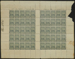 BRAZIL: PIRAHY: Complete Sheet Of 50 Stamps Of 2,000Rs. Of The 1917 Issue, Printed In 2 Groups Of 25 With Gutter. With D - Altri & Non Classificati