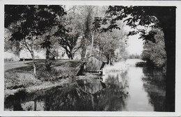 Bléneau - Les Gogneaux, La Pièce D'eau - Bleneau