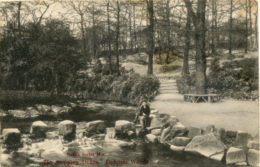 SOUTH YORKS - SHEFFIELD - ENDCLIFFE WOODS - THE STEPPING STONES 1904 Ys249 - Sheffield