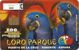 Spain - Loro Parque Parrots - CP-234 - 08.2001, 6.01€, 101.300ex, Used - Commemorative Advertisment