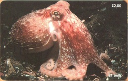 Isle Of Man - Man0154, Marine Life,Curled Octopus , 20,000ex, 2000, Used As Scan - Man (Ile De)