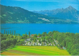 Unterseen - Camping Alpenblick        Ca. 1990 - Unterseen