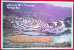 Delcampe - Malicong Rice Terraces - Philippinen