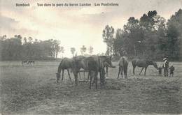 Humbeek  Les Poulinières - Grimbergen