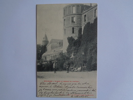 Beauraing - Ruines Et Serres Du Château - Beauraing