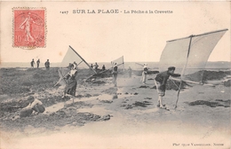 ¤¤  -   Pêche à La Crevettes  -  Scène De Plage  -  Baigneurs Et Baigneuses  -  Pêcheurs      -   ¤¤ - Pêche