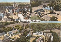 56 - PLUVIGNER - Souvenir De Pluvigner - Pluvigner