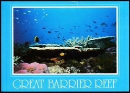 Australia / Great Barrier Reef / Magnificent Corals And Fish / Australia Post Part Of The Olympic Team - Great Barrier Reef