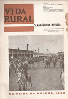 Golegã - Feira De S. Martinho Em 1968 - Vida Rural Nº 809 De 16 De Novembro De 1968 - Gerês - Santarém - Magazines