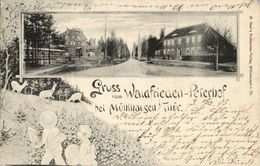 MÜHLHAUSEN I. Thür., Waldfrieden-Peterhof (1905) AK - Muehlhausen
