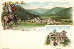TABARZ, Gruss Aus Panorama, Kurhaus (1899) AK - Tabarz