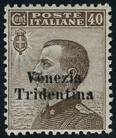 Neuf Sans Charnière N° 24/7, 40, 45, 50 Et 1l Venezia Tridentina, Les 4 Valeurs T.B. Sassone 24/7 : 1875 € - Andere & Zonder Classificatie