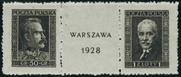 Neuf Avec Charnière N° 240/1, La Paire Varsovie 1928 Avec Logo T.B. - Altri & Non Classificati