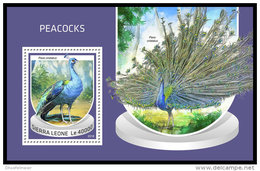 SIERRA LEONE 2018 MNH** Peacocks Pfauen Paons S/S - IMPERFORATED - DH1843 - Peacocks