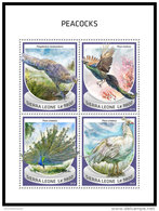 SIERRA LEONE 2018 MNH** Peacocks Pfauen Paons M/S - OFFICIAL ISSUE - DH1843 - Peacocks