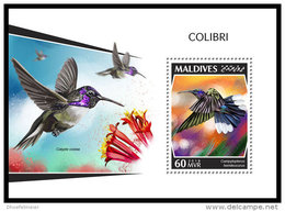 MALDIVES 2018 MNH** Colibri Kolibri S/S - IMPERFORATED - DH1843 - Kolibries