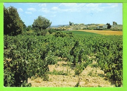 ROCHEFORT DU GARD / VUE GENERALE DU VILLAGE / Carte Vierge - Rochefort-du-Gard