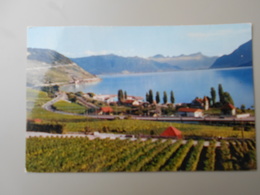 SUISSE LAC LEMAN CULLY ET LE VIGNOBLE DE LAVAUX - Cully