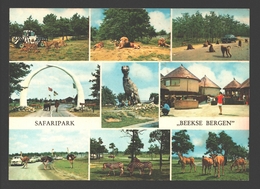 Hilvarenbeek - Recreatieoord Safaripark Beekse Bergen - Multiview - Tilburg