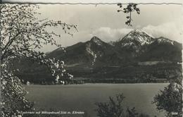 Faakersee V. 1964  Seeansicht Mit Mittagskogel  (2531) - Faakersee-Orte