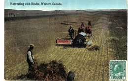 Carte  Postale Ancienne De WESTERN CANADA - Otros & Sin Clasificación