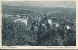 005838  Bad Wildungen - Gesamtansicht Vom Waldhaus Aus  1930  Mit Bahnpoststempel - Bad Wildungen