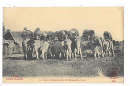 LAOS -  Convoi D'éléphants Chez Les Boloven (Haut-Laos)     ##  RARE  ##    -   L 1 - Laos