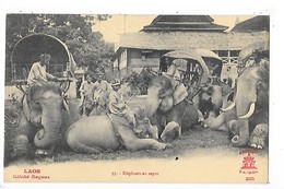 LAOS -  Eléphants Au Repos)     ##  RARE  ##    -   L 1 - Laos