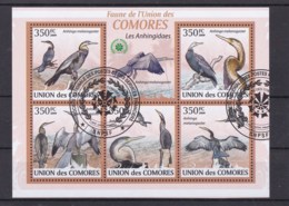 2009 - Union Des Comores - Birds - Albatros