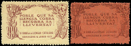 ** S/Cat. 2 Valores. “II Diada De La Llengua Catalana-1917” Raro - Autres & Non Classés