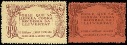 ** S/Cat. 2 Valores. “II Diada De La Llengua Catalana-1917” Raro - Andere & Zonder Classificatie