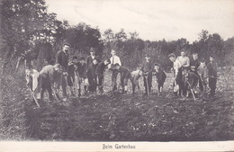 CPA - ILSENBURG - Beim Gartenbau - En Horticulture - Allemagne - Ilsenburg