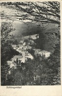 SCHLANGENBAD, Teilansicht (1907) AK - Schlangenbad